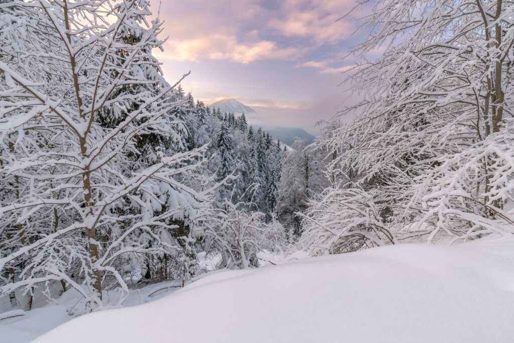 Snow hunting: la guida per un viaggio alla ricerca della neve