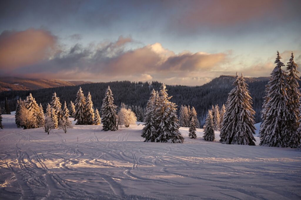 Snow hunting: la guida per un viaggio alla ricerca della neve