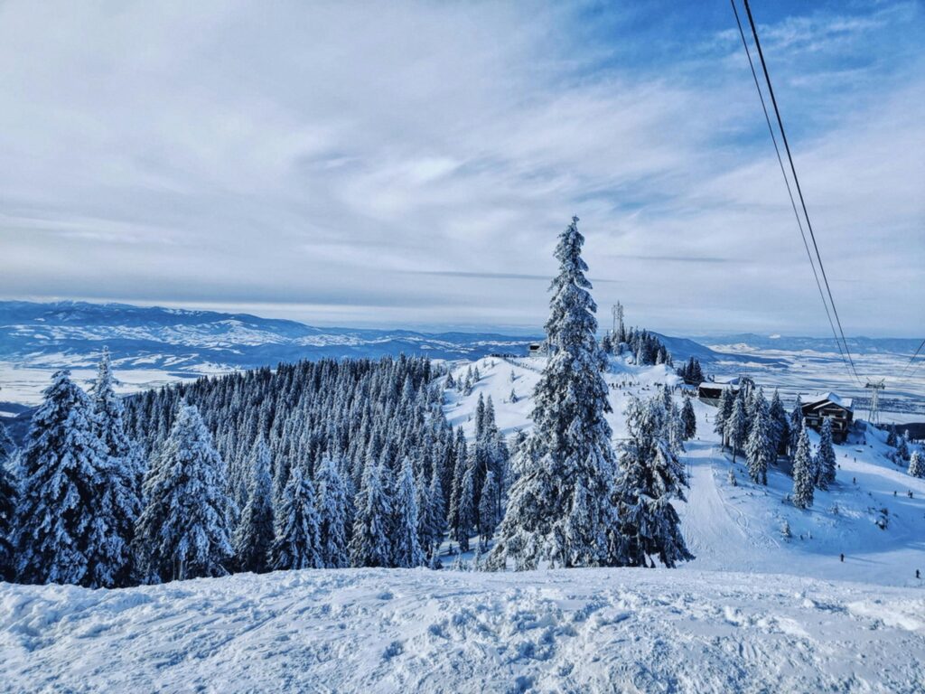 Snow hunting: la guida per un viaggio alla ricerca della neve