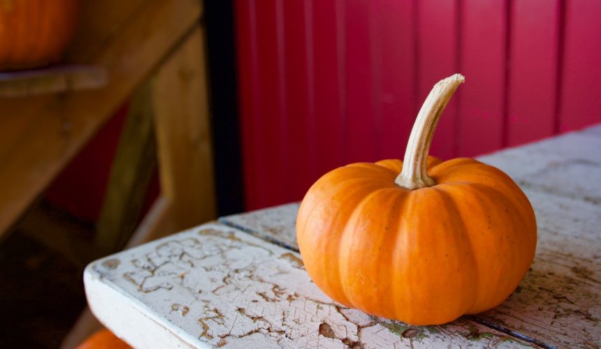 Zucca proprietà e benefici