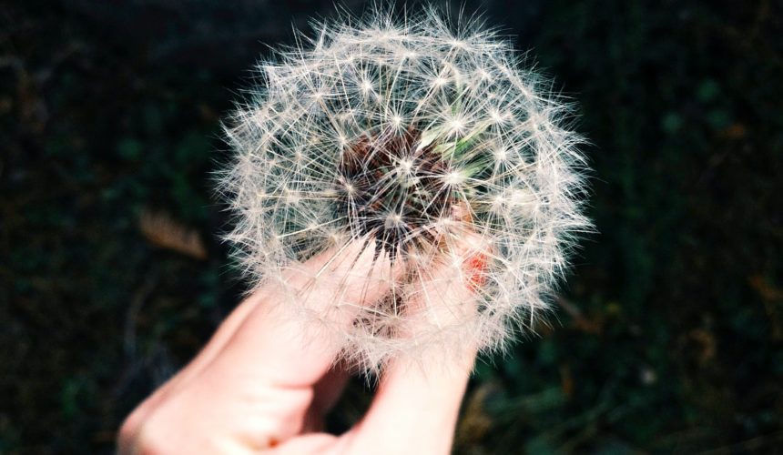 CONTRASTARE LE ALLERGIE DI PRIMAVERA CON BEURER!