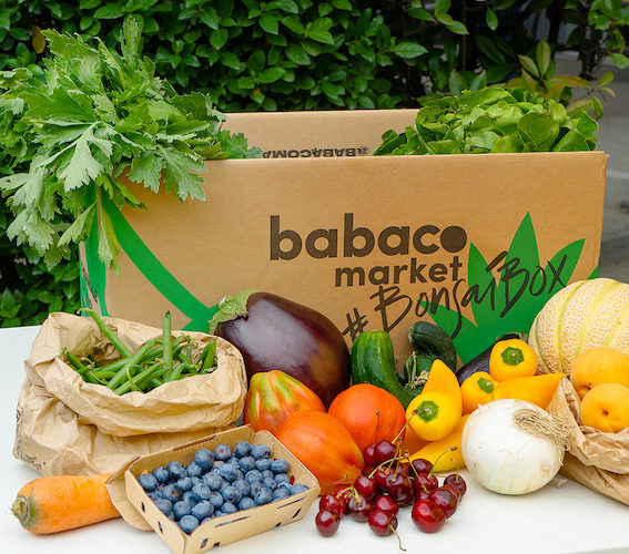 : I CONSIGLI DI BABACO MARKET