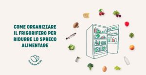 Come conservare il cibo in frigorifero e come organizzarlo al meglio Too Good To Go