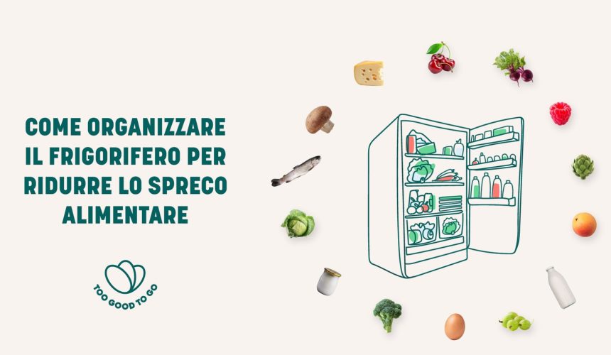 Come conservare il cibo in frigorifero e come organizzarlo al meglio Too Good To Go