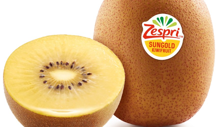 Kiwi Zespri SunGold_OK