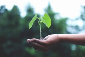 Giornata Mondiale della Terra, Swappie quanti rifiuti elettronici