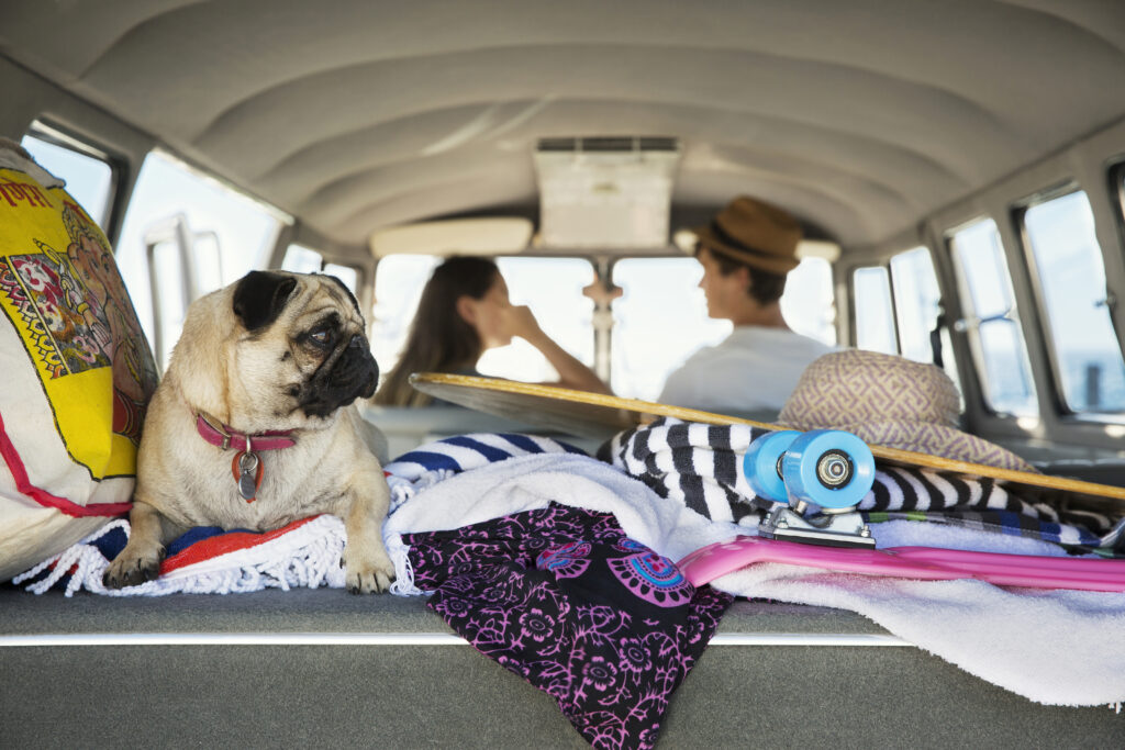 Giornata Mondiale del Cane lo scambio casa per un viaggio pet-friendly