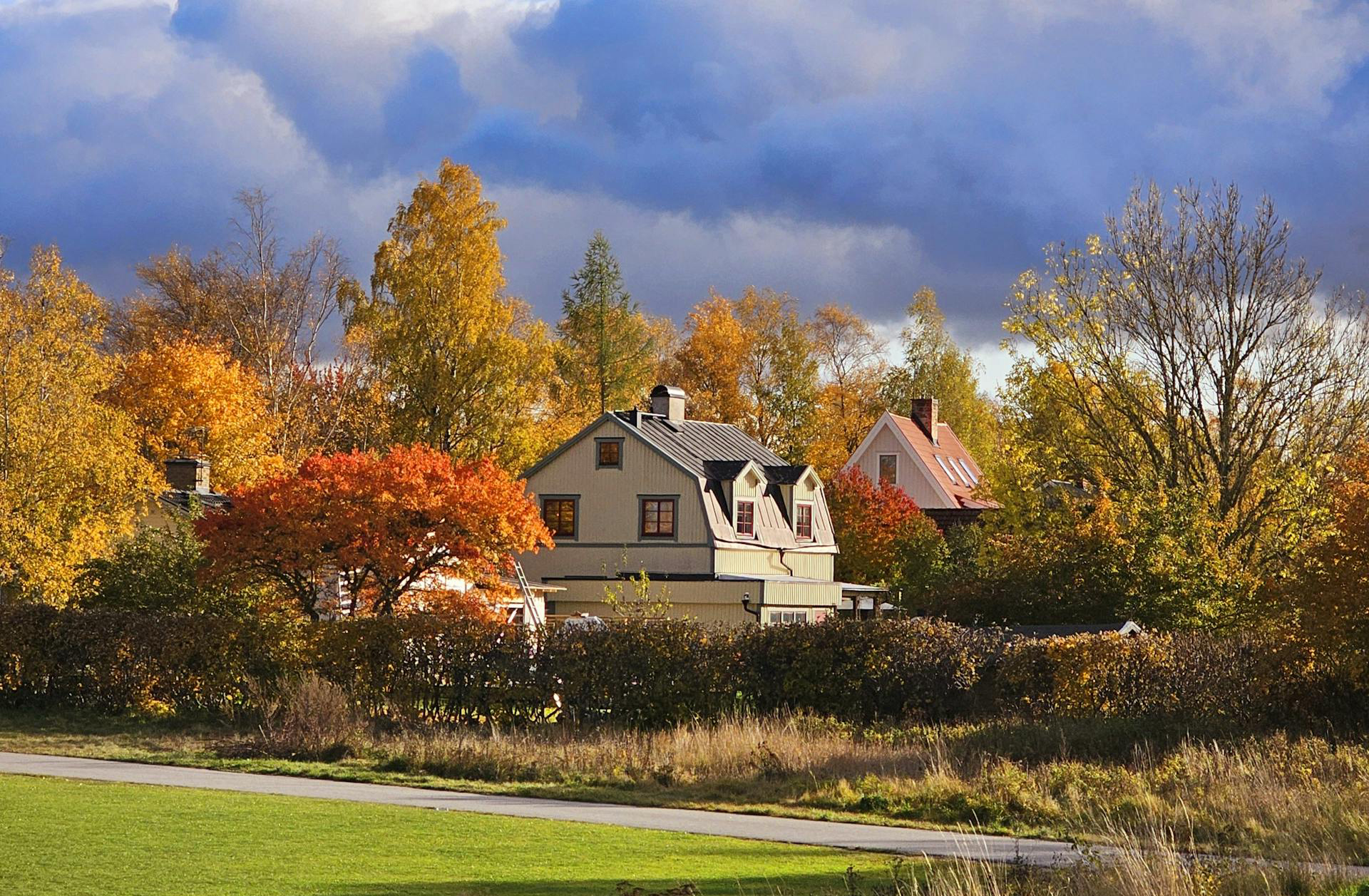 Colori d'autunno in treno 5 mete imperdibili per un viaggio sostenibile alla scoperta del foliage