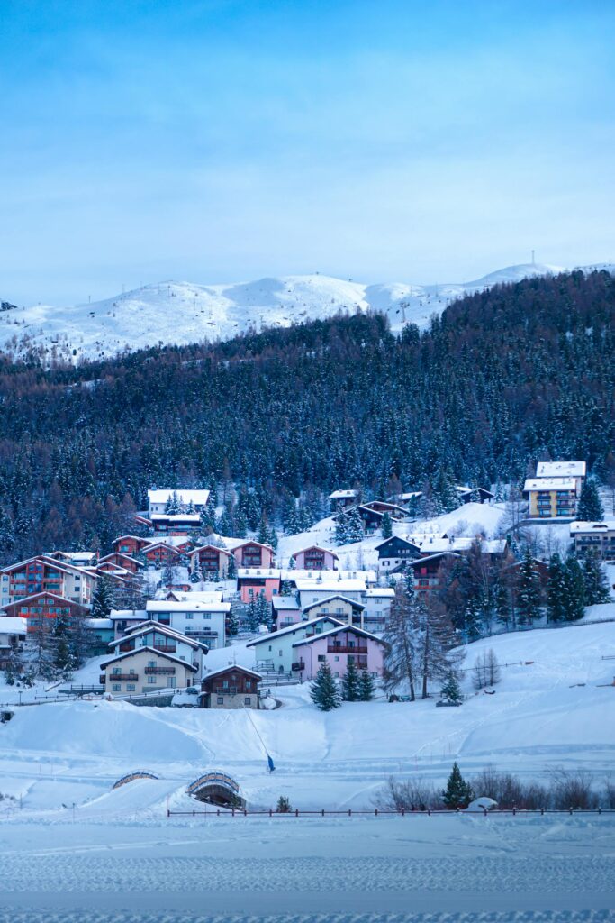 Valtellina neve