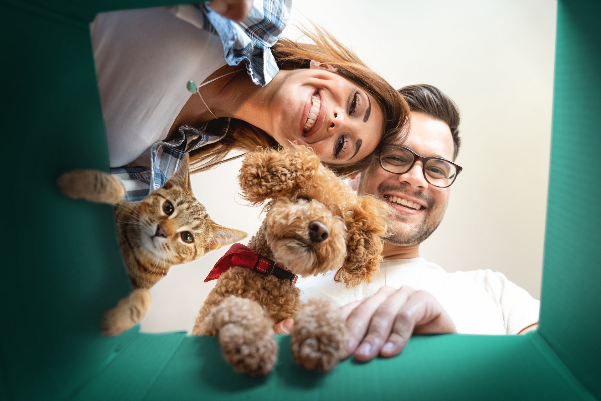 Anche il cibo per gli animali ora non si butta più: come recuperalo con Box Dispensa